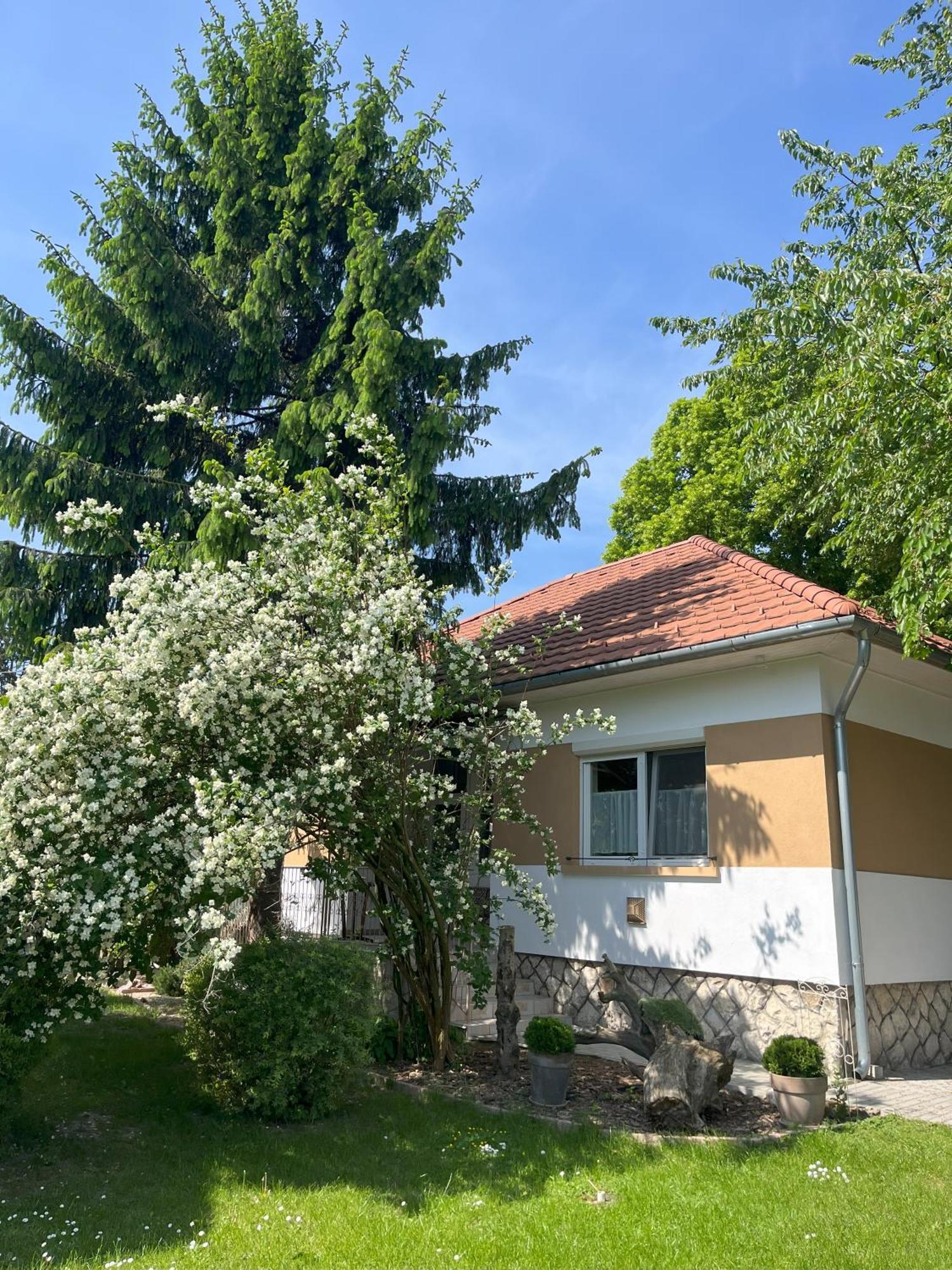 Cseresznyés Ház Lipót Exterior foto